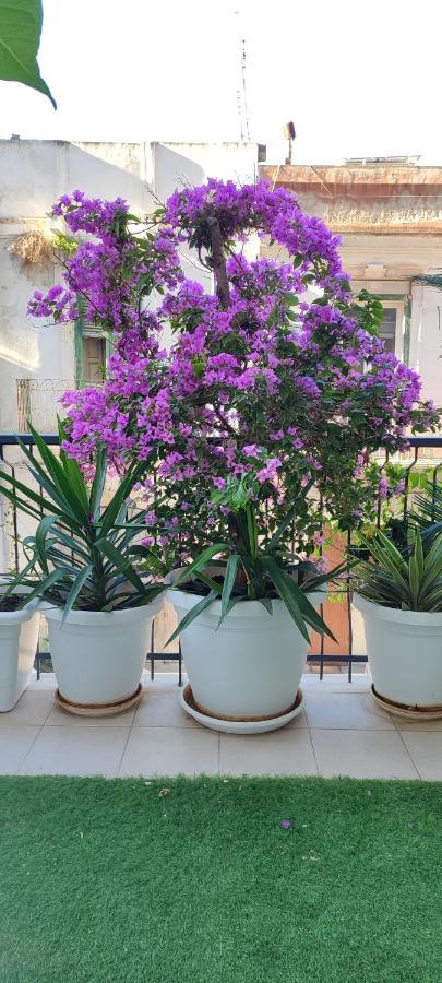 فندق Giambattista House باري المظهر الخارجي الصورة